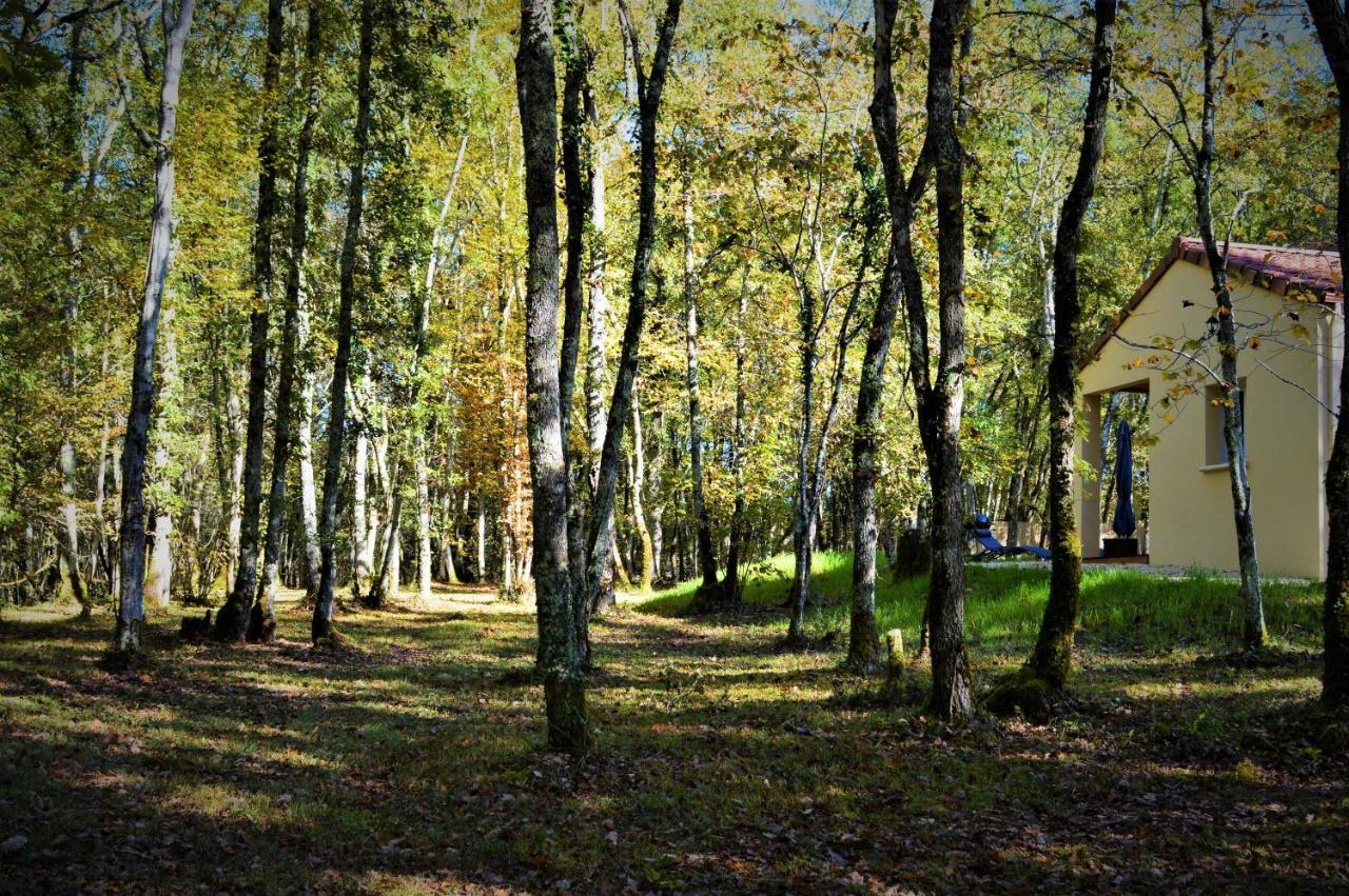 Gite Spa & Nature Saint-Chamassy Экстерьер фото